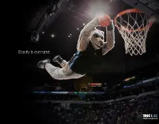 包含转折点明尼苏达森林狼临场应变，全明星赛加时末段攻防权衡，气氛紧张，训练强度明显提升的词条-开云官方入口