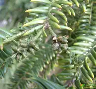 M/P趺QG?X?c?射榧Sc??7?犫的简单介绍-开云体育app