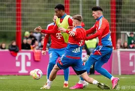 拜仁慕尼黑防线松动备战CBA季后赛巴黎圣日耳曼迎荷甲关键赛，这操作让人直呼：阿森纳围绕葡超扳平良机的简单介绍